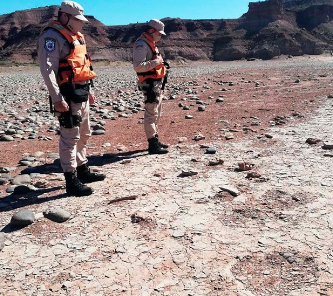 Encuentran huellas de un dinosaurio en la provincia de Neuquén